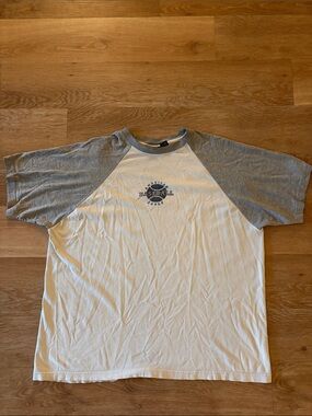 American Eagle Outfitters White and Gray Baseball Raglan Tee